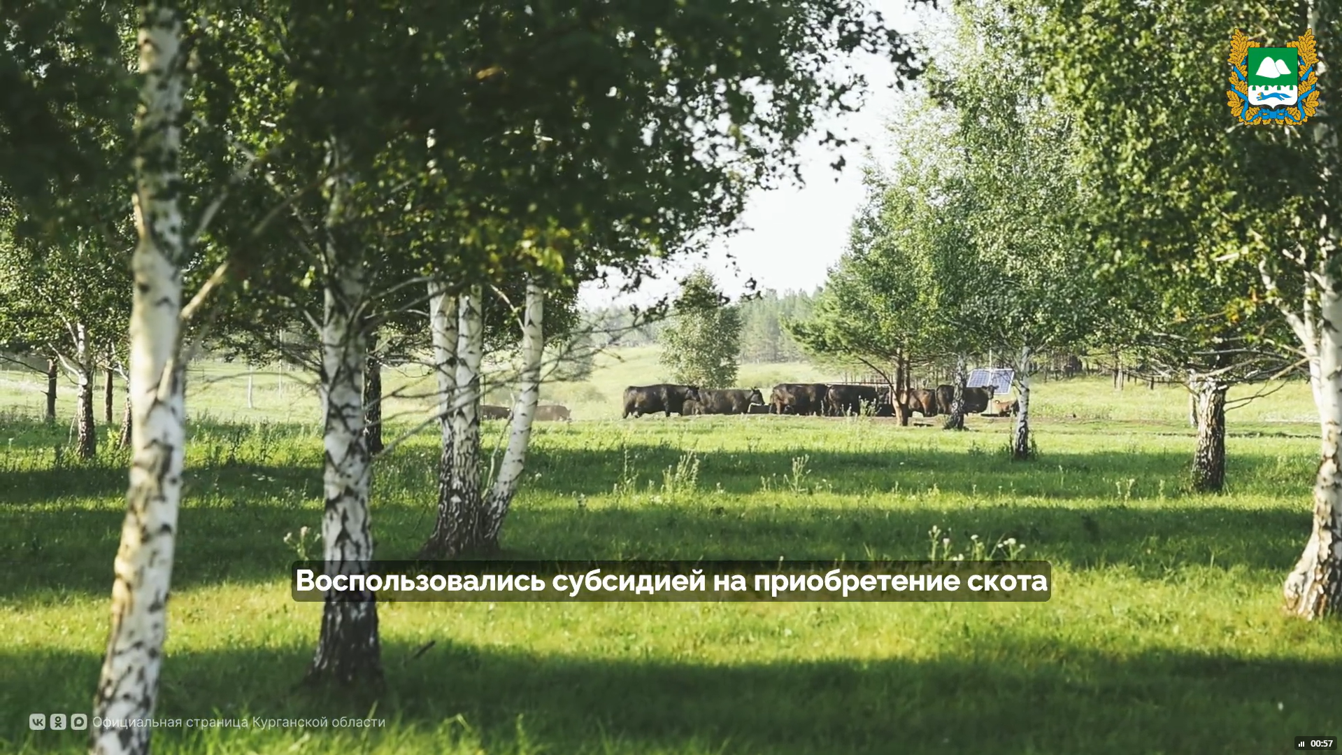 Развитию хозяйства способствует комплексная поддержка от региона