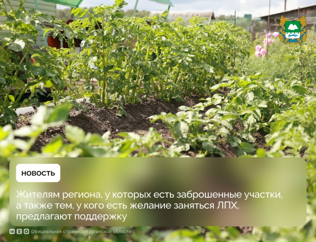 Жителям региона, у которых есть заброшенные участки, а также тем, у кого есть желание заняться ЛПХ, предлагают поддержку